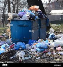 Best Carpet Removal and Disposal  in Ddleville, MI