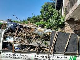 Best Basement Cleanout  in Ddleville, MI